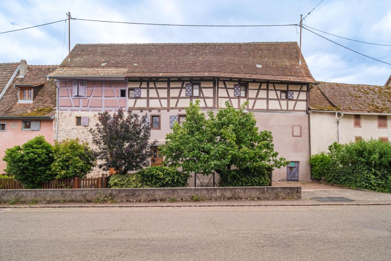 Apartamento Chez Jade Et Ambre Eguisheim Exterior foto
